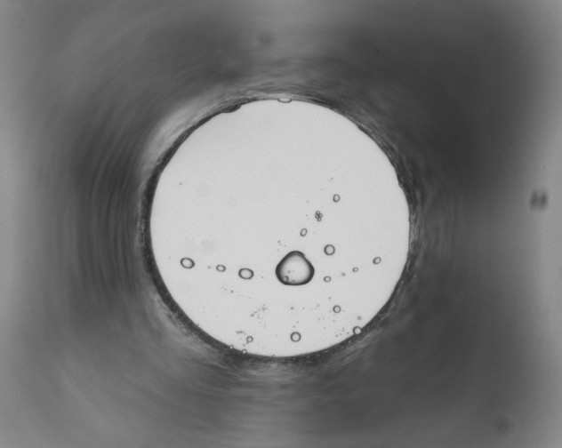 X0000111620293200908141325