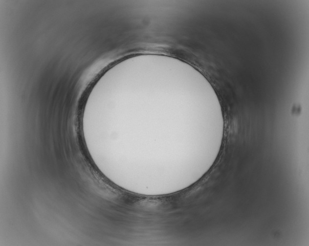 X0000111620294200908141325