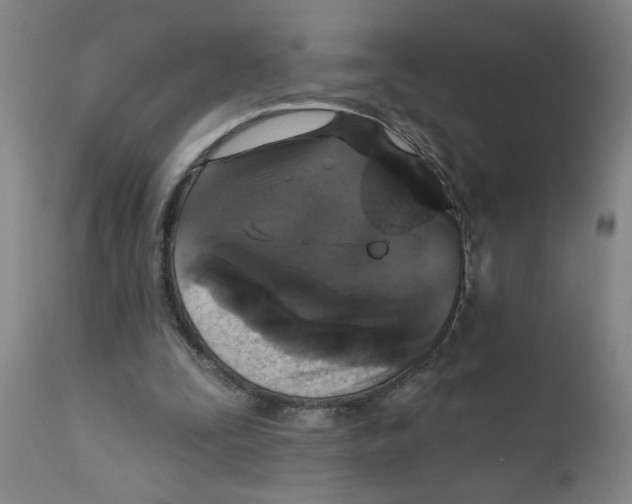 X0000111620295200908141325