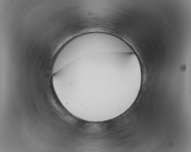 X0000111620297200908141325