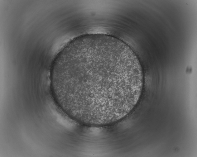 X0000111620302200908141325