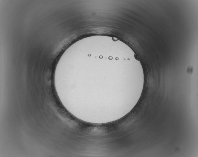 X0000111620303200908141325