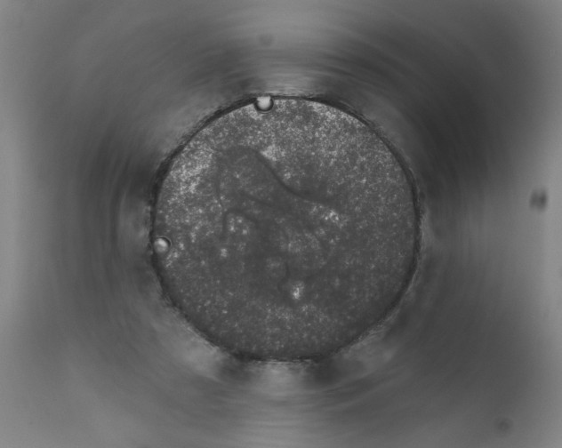 X0000111620305200908141325