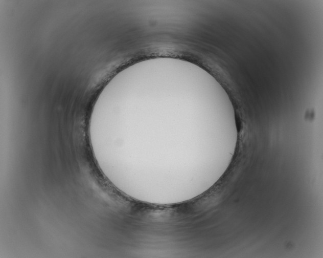 X0000111620306200908141325