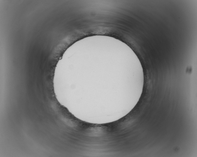 X0000111620307200908141325