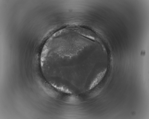 X0000111620308200908141325