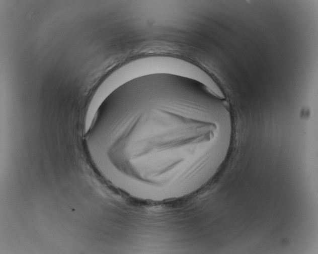 X0000111620309200908141325