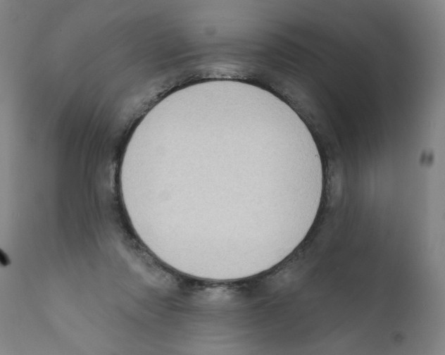 X0000111620310200908141325