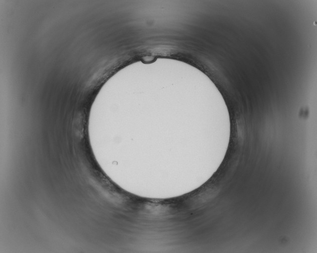 X0000111620311200908141325