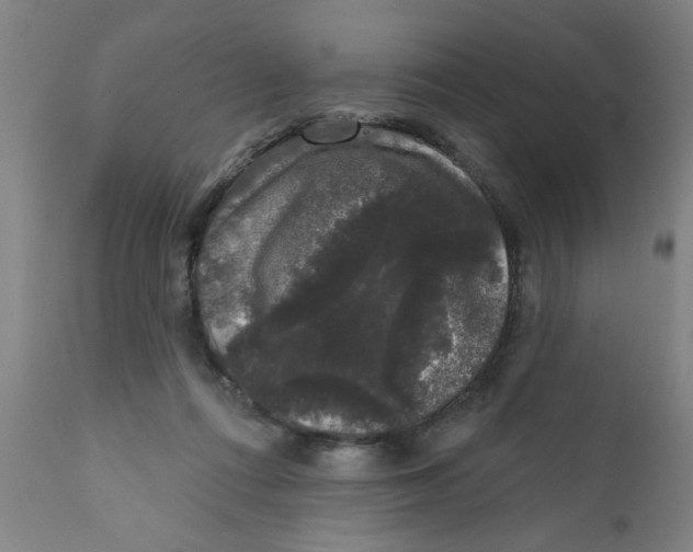 X0000111620312200908141325