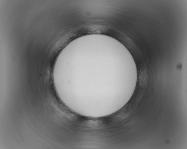 X0000111620314200908141325