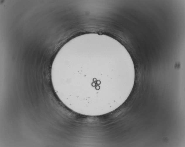 X0000111620317200908141325