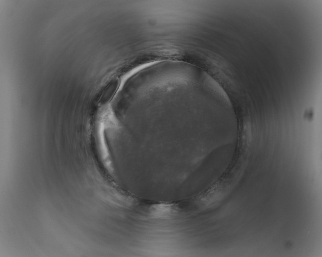 X0000111620320200908141325