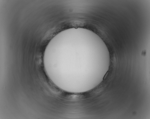 X0000111620323200908141325