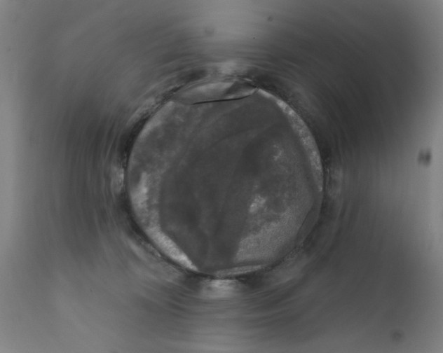 X0000111620324200908141325