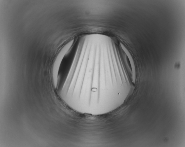 X0000111620325200908141325