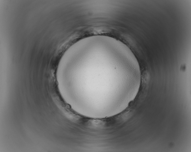 X0000111620327200908141325