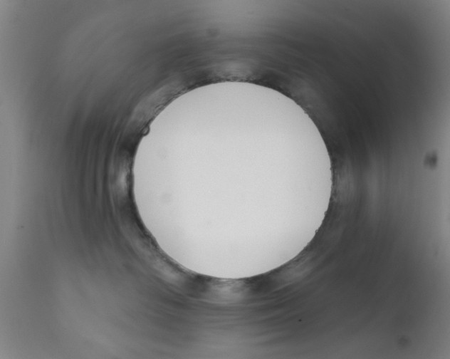 X0000111620334200908141325