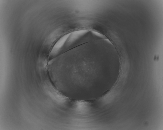 X0000111620336200908141325