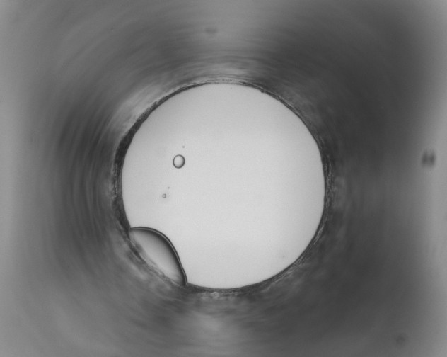 X0000111620338200908141324