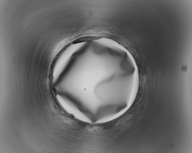 X0000111620340200908141324