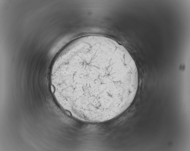 X0000111620341200908141324