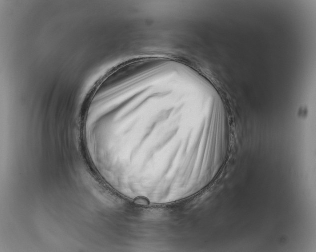 X0000111620342200908141324