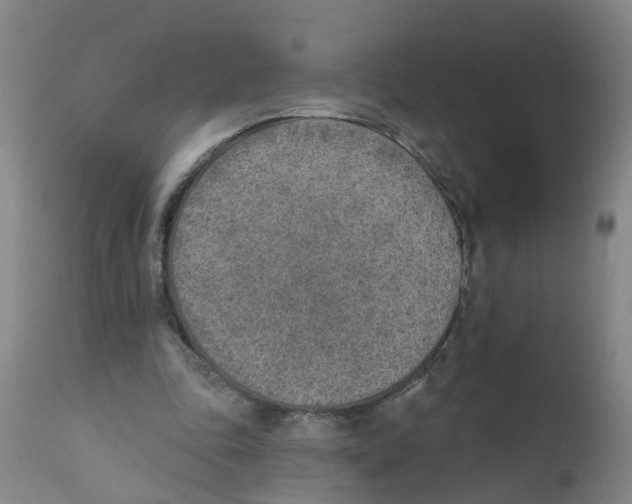 X0000111620343200908141324