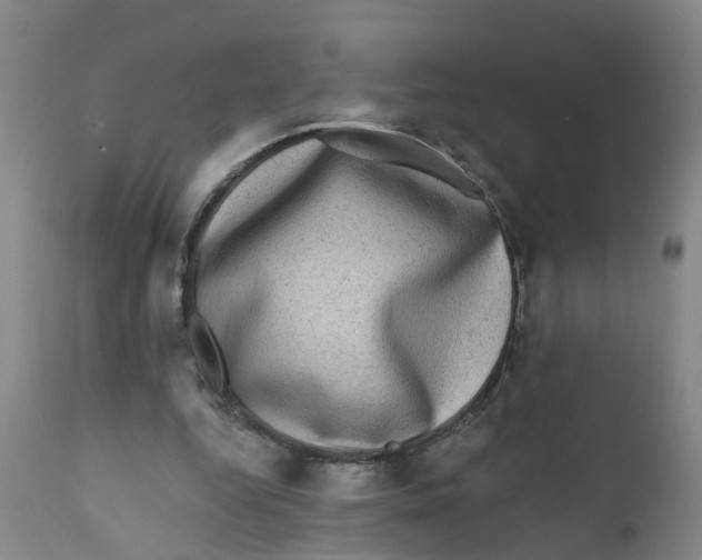 X0000111620344200908141324