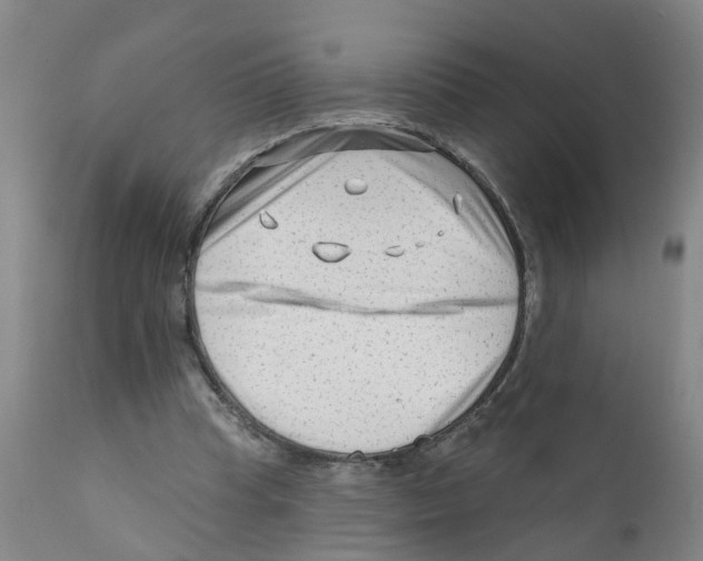 X0000111620345200908141324