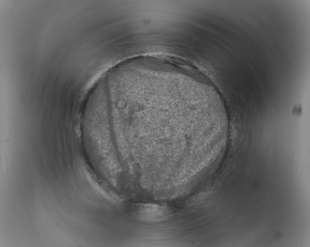 X0000111620347200908141324