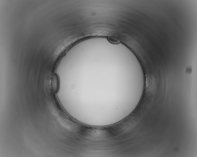 X0000111620348200908141324