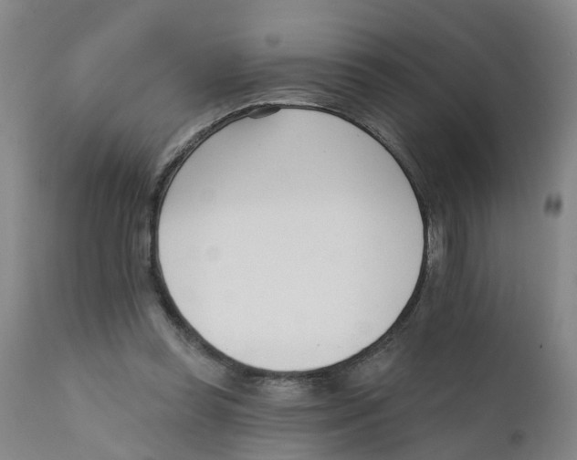 X0000111620349200908141324