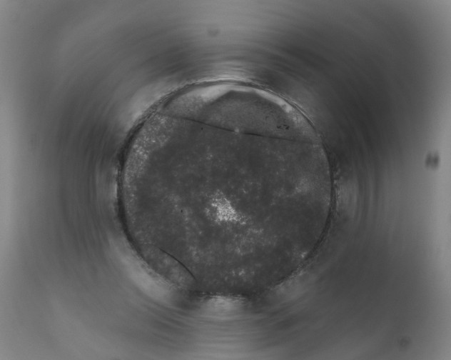 X0000111620350200908141324