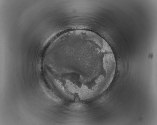 X0000111620351200908141324