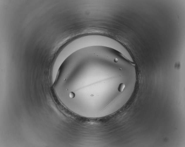 X0000111620352200908141324