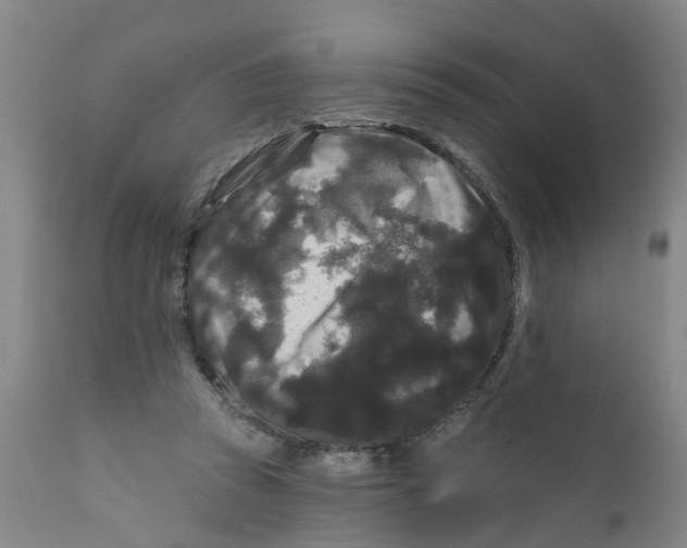 X0000111620353200908141324