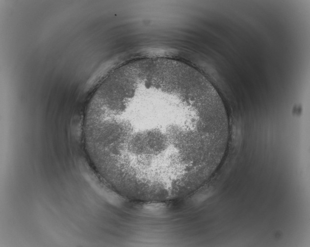 X0000111620357200908141324