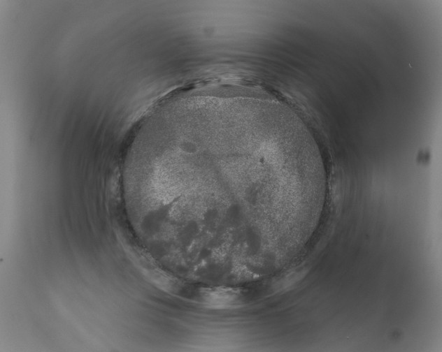 X0000111620359200908141324