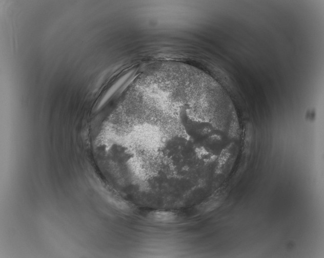 X0000111620361200908141324