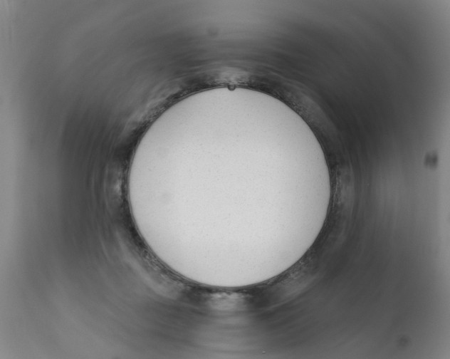 X0000111620363200908141324