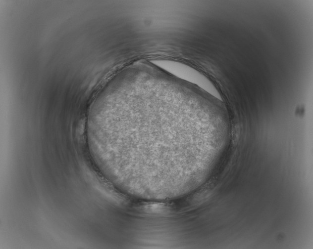 X0000111620365200908141324