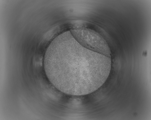 X0000111620368200908141324