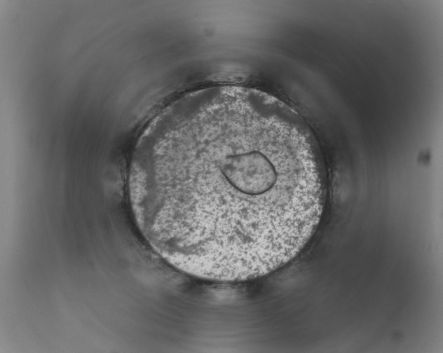 X0000111620370200908141324