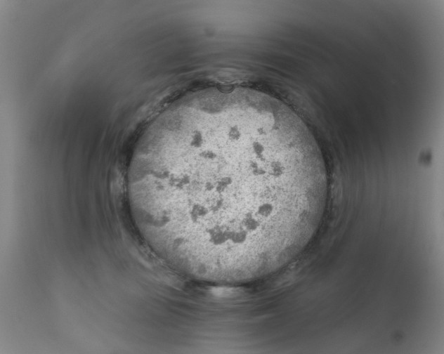 X0000111620371200908141325