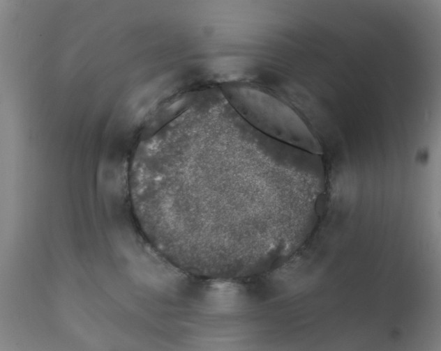 X0000111620376200908141325