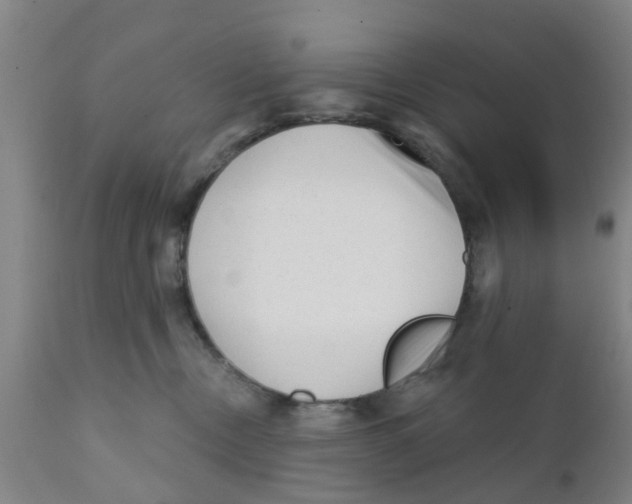 X0000111620378200908141325