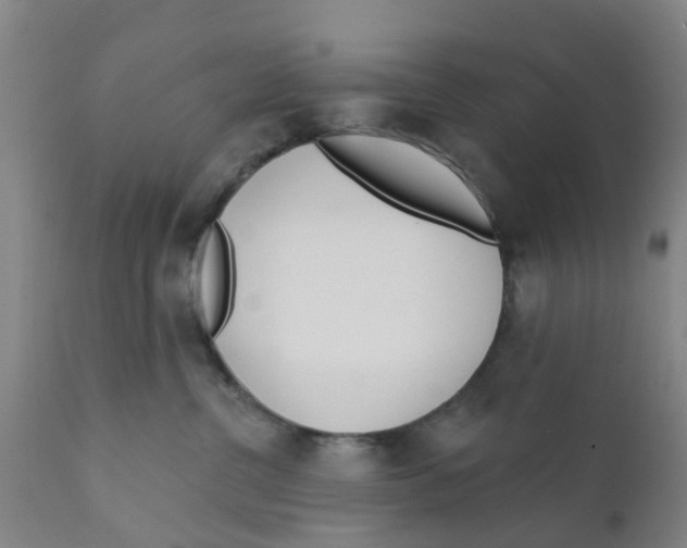 X0000111620380200908141325