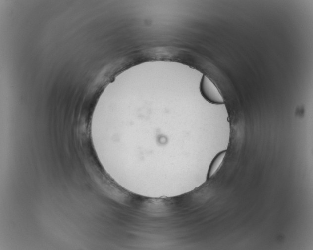 X0000111620381200908141325