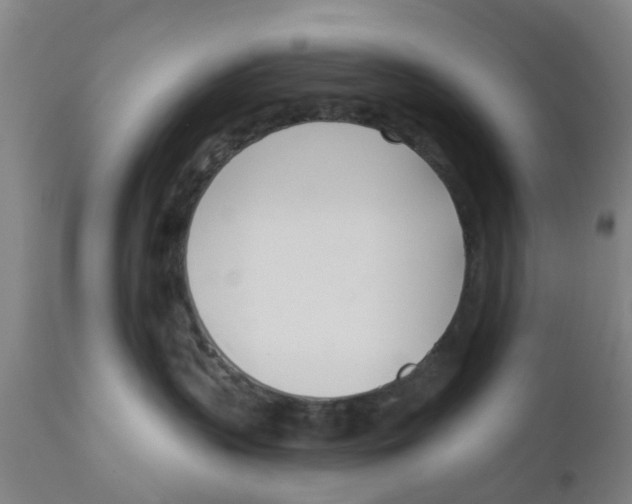 X0000111620383200908141325